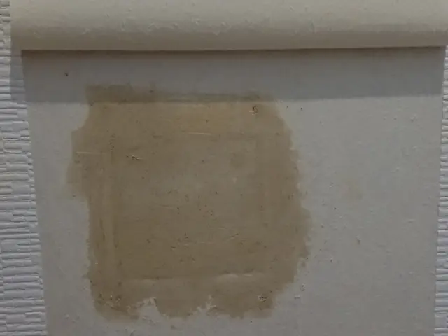 クロスの穴補修お任せください！サービスの画像