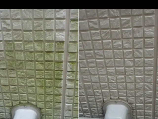 【総合ランキング上位店舗】❇損害保険✴大手出身❇即日対応✴即レス❇口コミ高評価サービスの画像