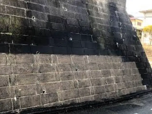 【総合ランキング上位店舗】❇損害保険✴大手出身❇即日対応✴即レス❇口コミ高評価サービスの画像