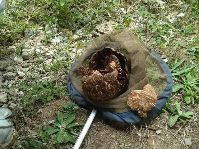 ＜年中無休で対応します！＞お住まいのことなら何でもお任せください！サービスの画像