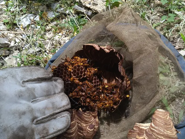 ＜年中無休で対応します！＞お住まいのことなら何でもお任せください！サービスの画像