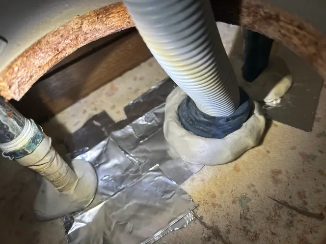 カメムシ駆除お任せ下さい！持続性薬剤散布致します！安全安心薬剤使用！サービスの画像