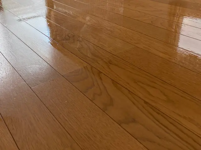 フロアコーティング専門店　高耐久高グリップ力抜群　(わんちゃん向けコーティング)サービスの画像