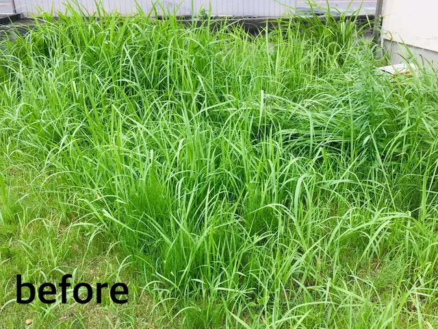 一緒に庭づくりを楽しみましょう！年間120件の施工実績サービスの画像