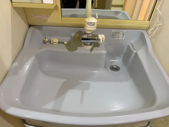 【気になる個所徹底】鏡ピカピカ保証！洗面台丸ごとクリーニング。《損保加入済》サービスの画像