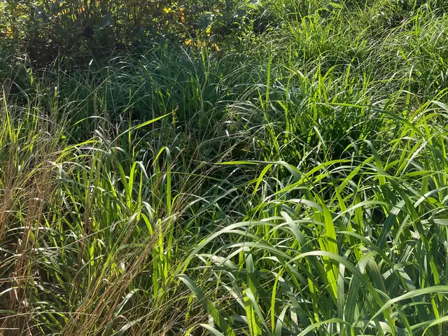 ◆年中無休◆◆自信の完全自社施工◆仕上がり保証ありサービスの画像