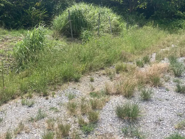 ◆年中無休◆◆自信の完全自社施工◆仕上がり保証ありサービスの画像