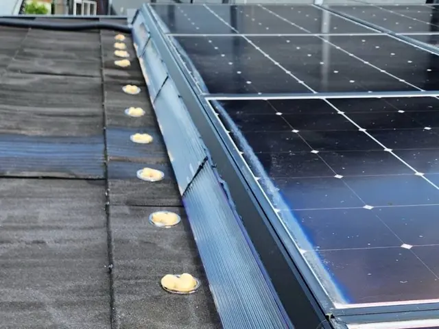 安価で確実な鳩対策は弊社にお任せください！　お客様に寄り添ったご提案を！サービスの画像