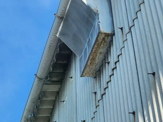 安価で確実な鳩対策は弊社にお任せください！　お客様に寄り添ったご提案を！サービスの画像