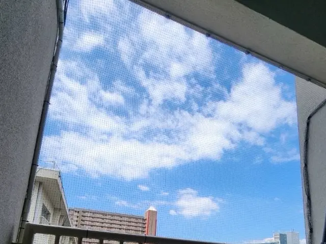 安価で確実な鳩対策は弊社にお任せください！　お客様に寄り添ったご提案を！サービスの画像