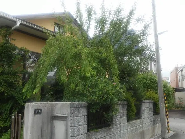 [1989年創業] 草刈り・枝葉の剪定は実績豊富な当店にお任せ下さい！サービスの画像