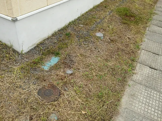 [1989年創業] 草刈り・枝葉の剪定は実績豊富な当店にお任せ下さい！サービスの画像