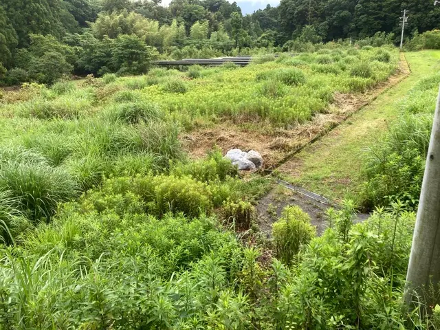 ★年中無休★伸びた雑草・お庭や畑・アパートの共有部分の草刈りなどお任せください！サービスの画像