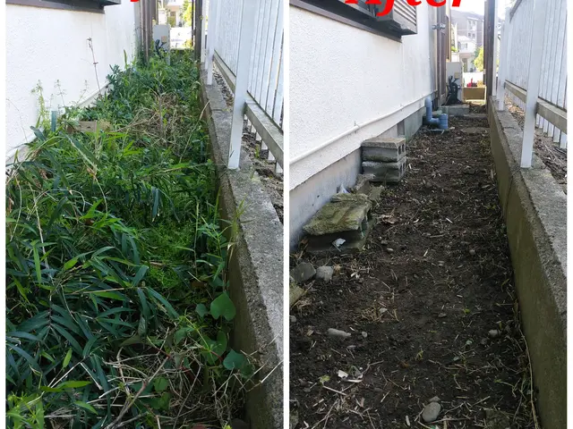 夫婦二人で伺います！業歴30余年の夫と、妻と、真心込めてお手入れします。サービスの画像