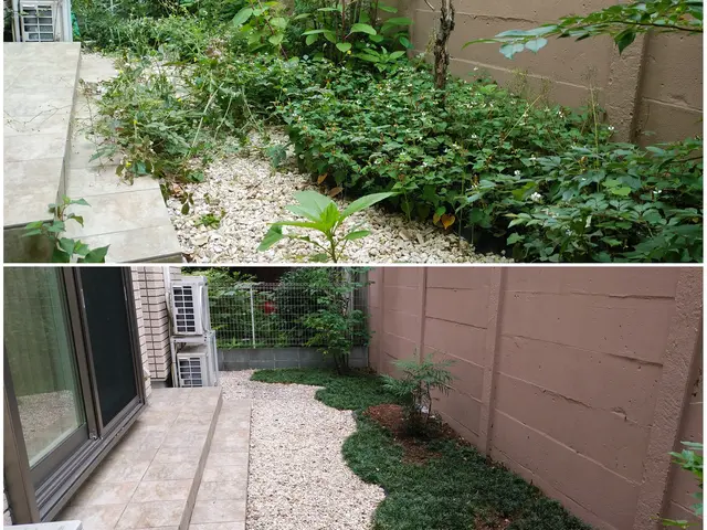 夫婦二人で伺います！業歴30余年の夫と、妻と、真心込めてお手入れします。サービスの画像