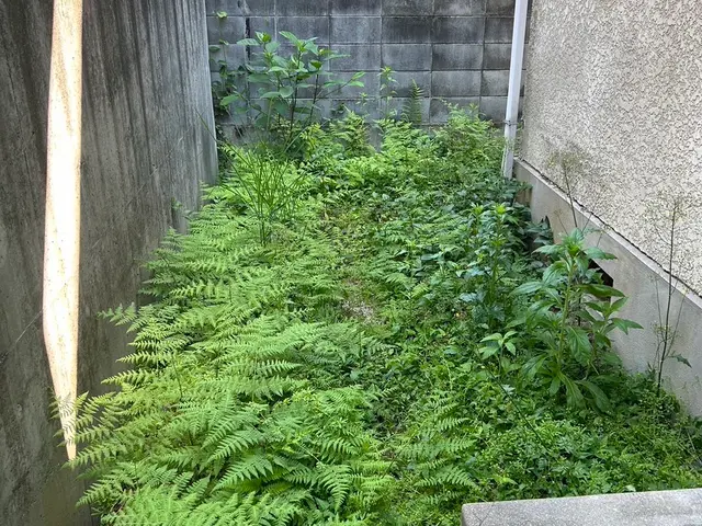 草刈りでのご相談は当社へお任せ下さい！草刈り、草抜き、木の伐採サービス！サービスの画像