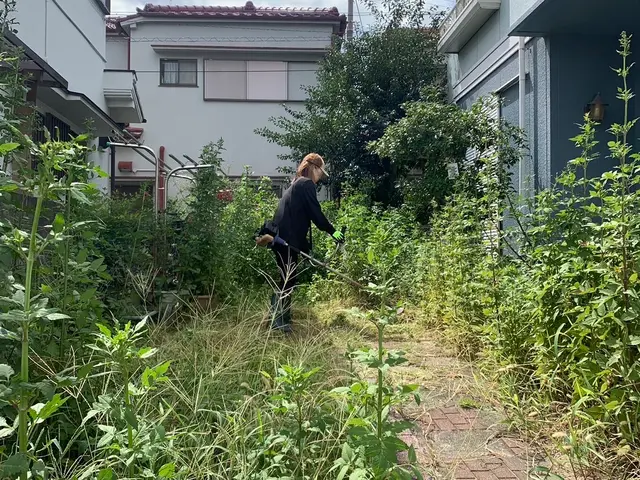 草刈りでのご相談は当社へお任せ下さい！草刈り、草抜き、木の伐採サービス！サービスの画像