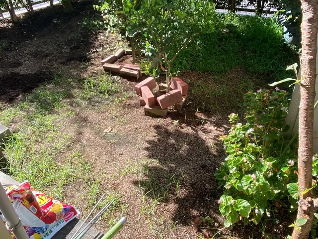 お庭に緑を！施工後の枯れは無償対応！アフターメンテもしっかりします！サービスの画像