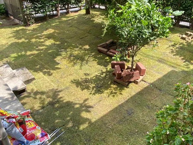 お庭に緑を！施工後の枯れは無償対応！アフターメンテもしっかりします！サービスの画像