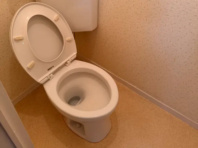 プロの技術でご満足いただけるように心を込めて作業いたしますサービスの画像