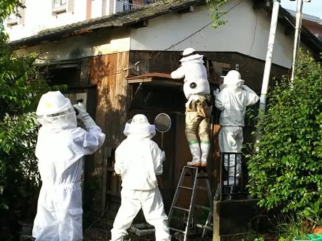 アシナガバチ専門＜クレカOK・paypayOK＞ハチ駆除、当日施工可能サービスの画像