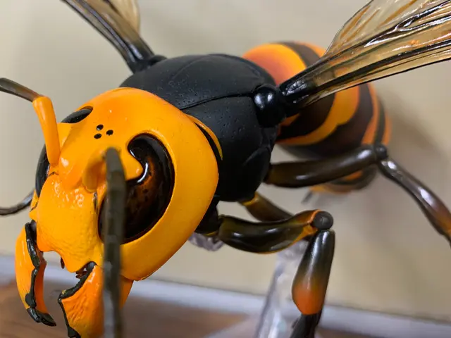 アシナガバチ専門＜クレカOK・paypayOK＞ハチ駆除、当日施工可能サービスの画像