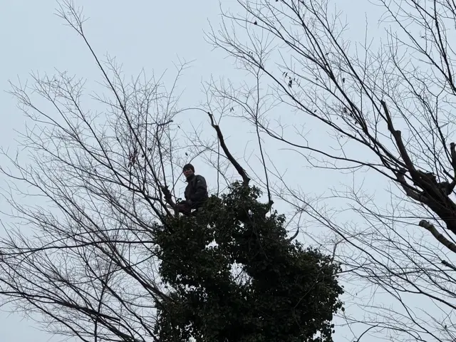 地域密着！経験10年以上、2級造園施工管理技士による剪定サービスの画像
