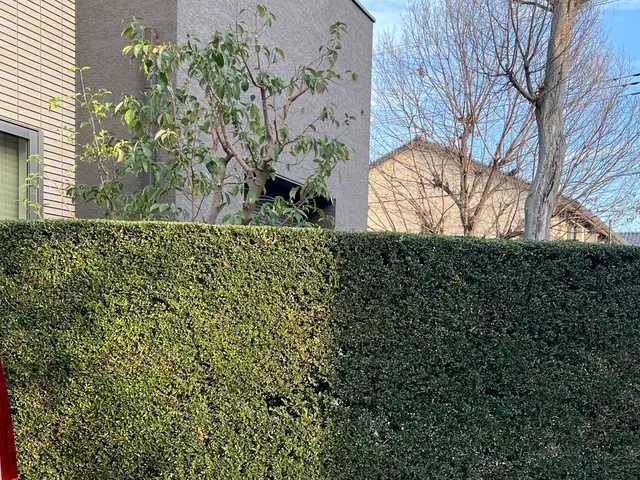 地域密着！経験10年以上、2級造園施工管理技士による剪定　損害保険加入済みで安心サービスの画像