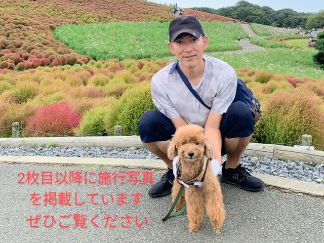 【地域密着　完全自社施工】2級管工事施工管理技士補が伺います！損害保険加入済み！サービスの画像