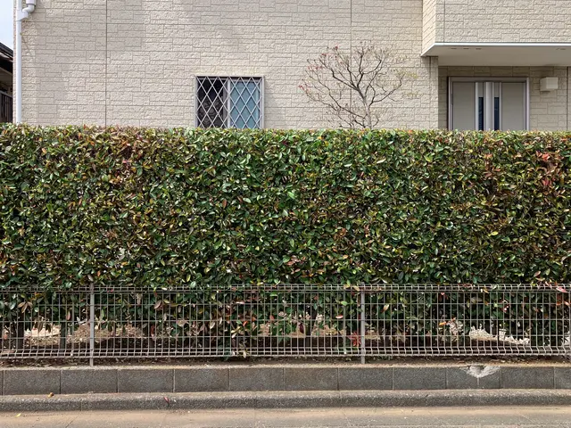 《作業外注一切なし》営業時間外のご予約もご相談ください！サービスの画像