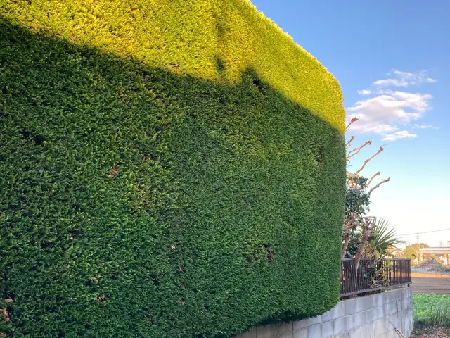 《作業外注一切なし》営業時間外のご予約もご相談ください！サービスの画像