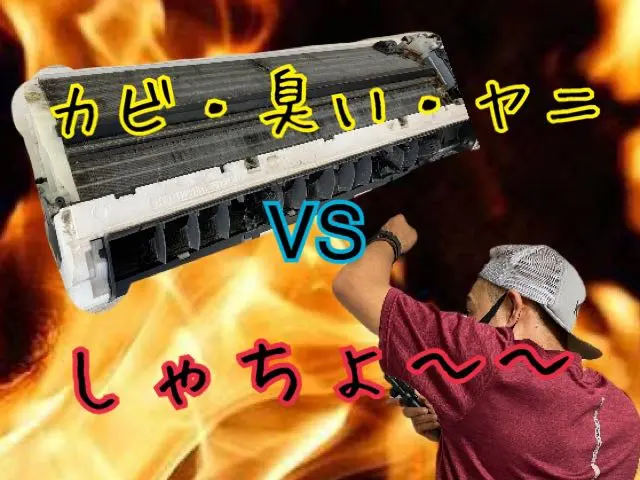 ペットがいるご家庭でも安心してお任せください！カビ、嫌な臭いを一気に除去します♪サービスの画像