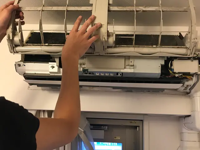 ペットがいるご家庭でも安心してお任せください！カビ、嫌な臭いを一気に除去します♪サービスの画像