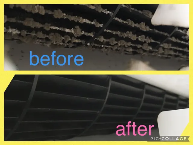 ペットがいるご家庭でも安心してお任せください！カビ、嫌な臭いを一気に除去します♪サービスの画像