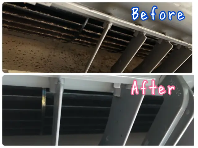 ペットがいるご家庭でも安心してお任せください！カビ、嫌な臭いを一気に除去します♪サービスの画像