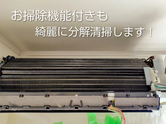 女性スタッフ対応【お掃除機能付き可能】きめ細やかな作業で安心！サービスの画像