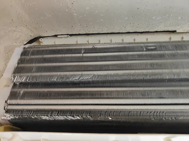 【完全分解可能】ペットやお子様にも安心なエコ洗浄【女性店長対応】サービスの画像