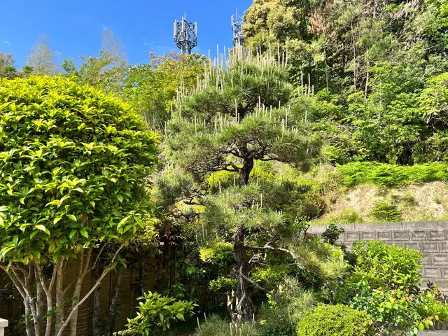 "最大料金"となりますのでお問い合わせの際にお見積もらせて頂きますm(_ _)mサービスの画像