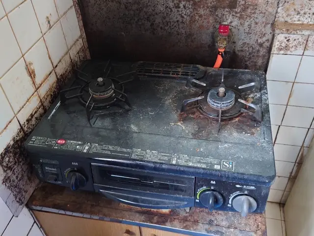 OPEN特価！他社での実績あり。主婦目線で徹底クリーニング☆お悩み解決します！サービスの画像