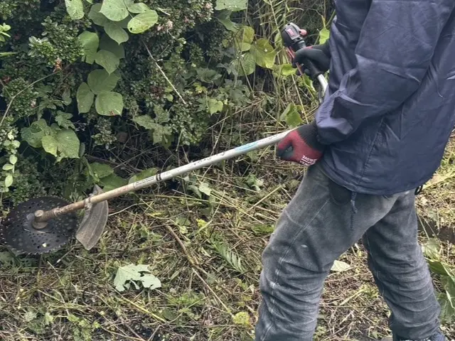 業界歴5年・作業実績120件以上！お客様の管理が楽になる草刈りサービス☆サービスの画像