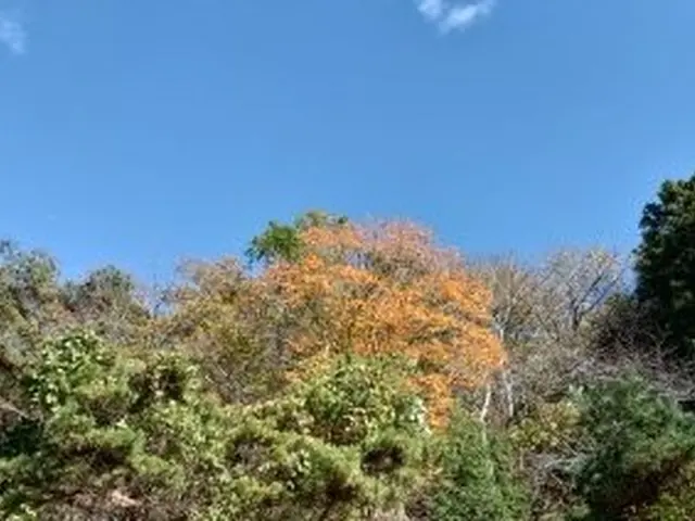 業界歴5年・作業実績120件以上！お客様の管理が楽になる草刈りサービス☆サービスの画像