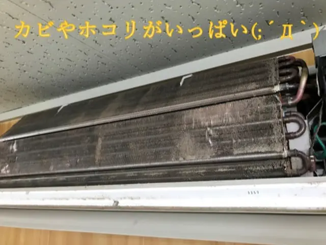★複数台割引き有り☆消臭に効く洗剤使用で臭いに困りの方に最適♪ペイペイOKサービスの画像