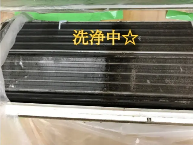 ★複数台割引き有り☆消臭に効く洗剤使用で臭いに困りの方に最適♪ペイペイOKサービスの画像