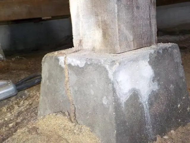 【注目( • ̀ω•́ )っ】国家資格保有プロが行う再発なしの「シロアリ駆除」サービスの画像