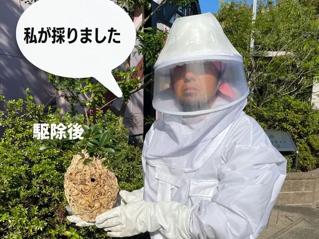 業歴15年のベテランがご訪問！巣を見付けたらすぐご連絡を！サービスの画像