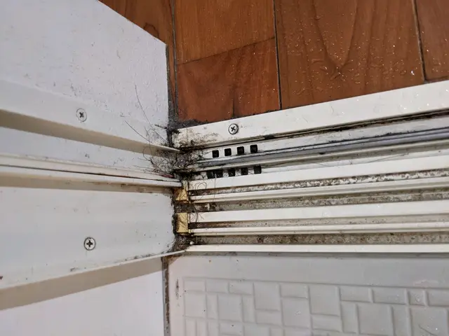 浴室のカビ、石鹸カスのお困りお任せ下さい！！サービスの画像