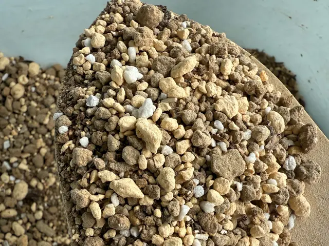 【大好評につき9.10月も継続の感謝企画!!】¥1000の虫予防土無料!!サービスの画像