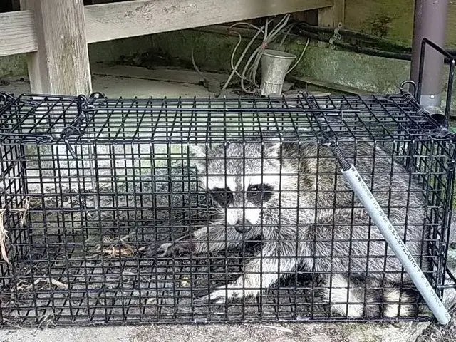 プロの技術でご満足いただけるように心を込めて作業いたしますサービスの画像