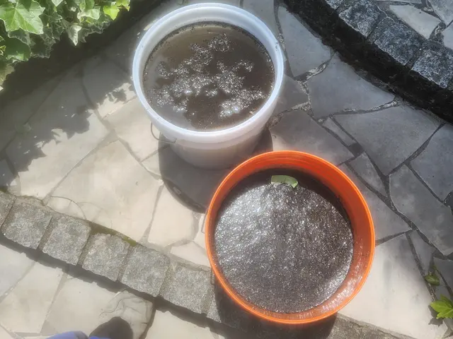 口コミ4.95★70件｜100件達成まで9,500円サービスの画像