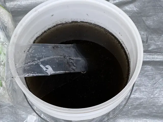 ★エアコンの気になる汚れ解決★複数台お得！お掃除機能全ての機種対応！サービスの画像